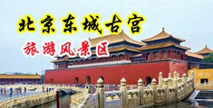 日本丰满大阴户特写中国北京-东城古宫旅游风景区